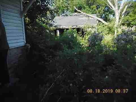 19585 Annott (6)_m.jpg